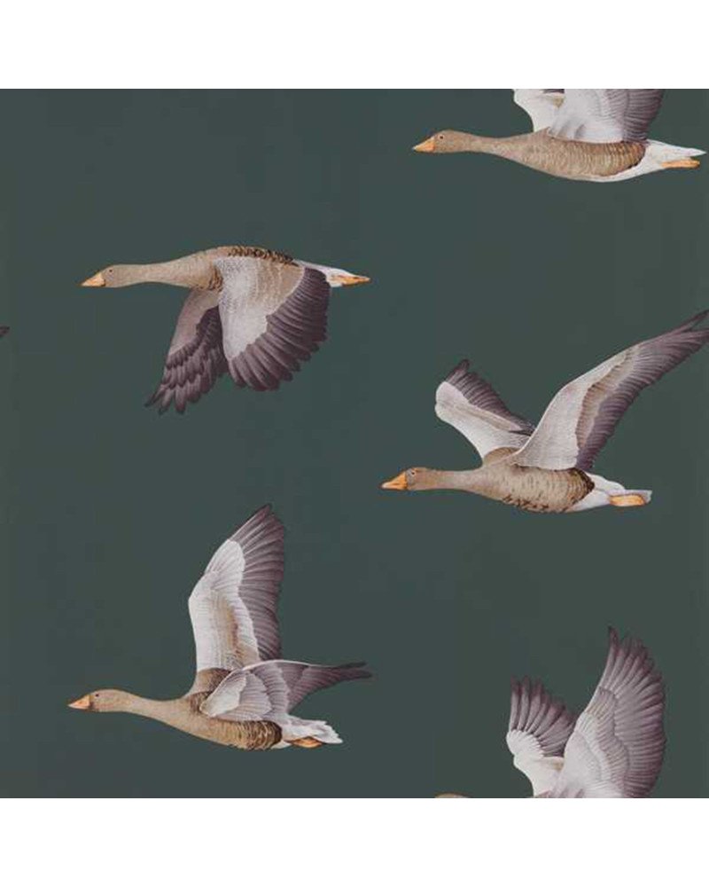 sanderson - carta da parati ELYSIAN GEESE