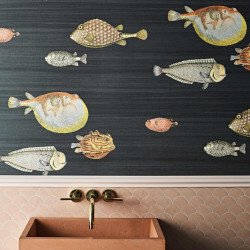 FORNASETTI wallpaper acquario print room soot 