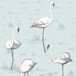 cole & son carta da parati fenicotteri flamingos (powder blue)