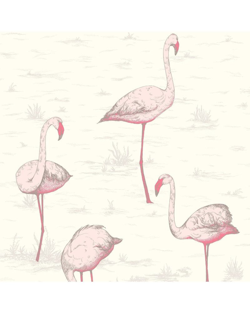 cole & son carta da parati fenicotteri flamingos (powder blue)