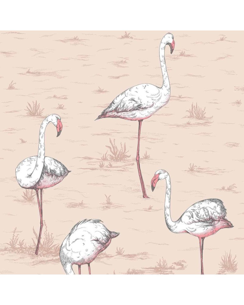 cole & son - carta da parati fenicotteri flamingos (powder pink)