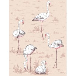 cole & son - carta da parati fenicotteri flamingos (powder pink)