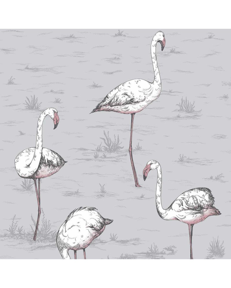 cole & son - carta da parati fenicotteri flamingos (powder blue)