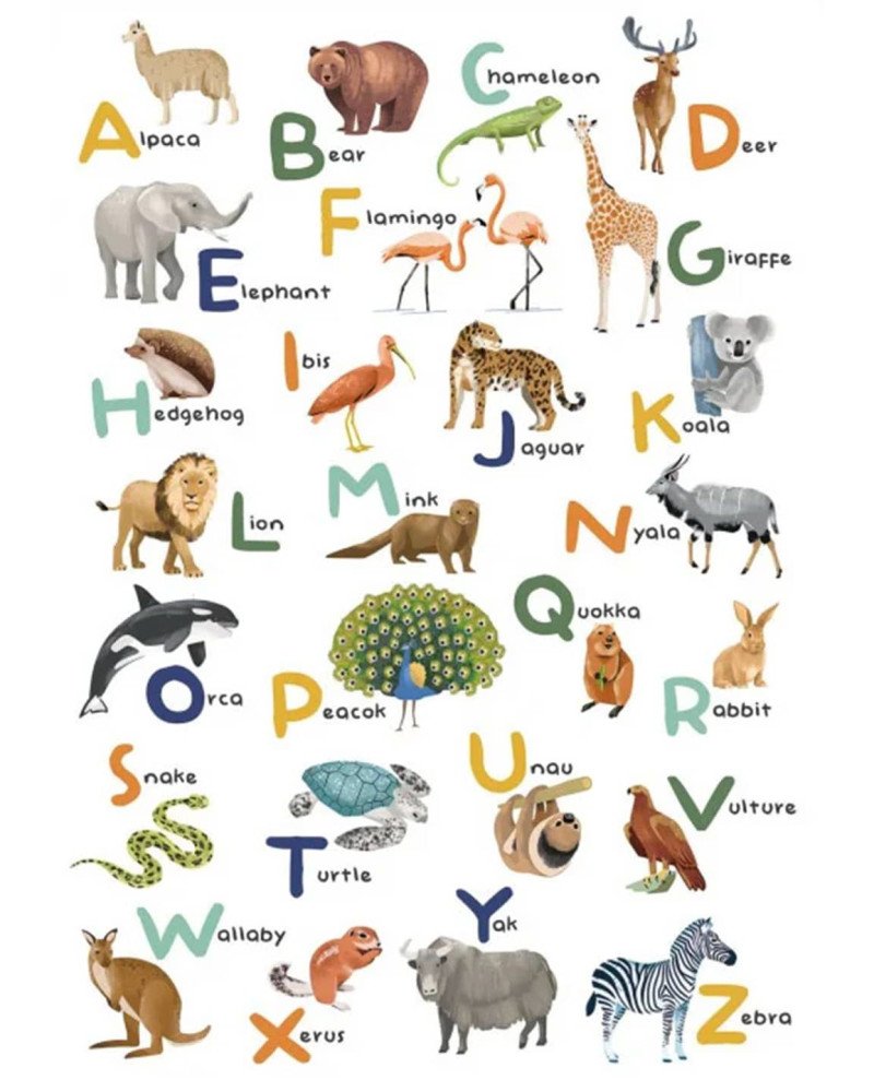 CASELIO mural wallpaper Let's Learn the Alphabet (english)