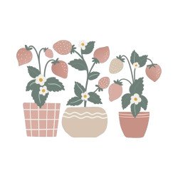 LILIPINSO Strawberry plants wall sticker