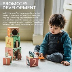 Orange tree toys - Woodland Wooden Stacking Cubes