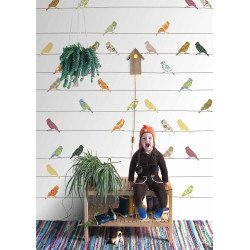 inke - wall mural birds vogels bont 