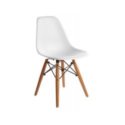 C&R EAMES dsw chair for kids 