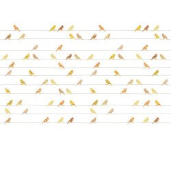 inke - murale in carta da parati uccellini vogels geel