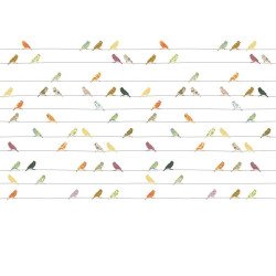 inke - wall mural birds vogels bont 