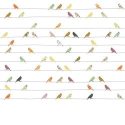 inke - wall mural birds vogels bont 