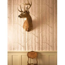 cole & son - wallpaper woods (powder blue/white) 