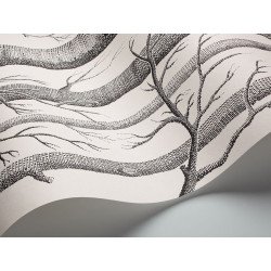 cole & son - wallpaper woods (black/white) 