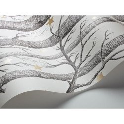 cole & son - wallpaper woods & stars (black/white/gold) 