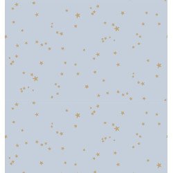 cole & son - carta da parati stars (powder blue/gold)