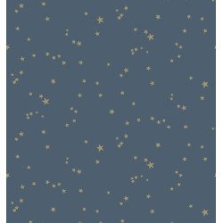 cole & son - carta da parati stars (midnight blue/gold)