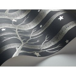 cole & son - carta da parati woods & stars (inky black/silver)