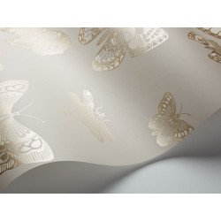 cole & son - carta da parati butterflies & dragonflies