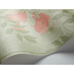 cole & son - carta da parati nautilus (verde oliva/rosa)