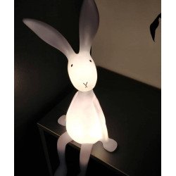 ROSE IN APRIL joseph bunny night lamp 