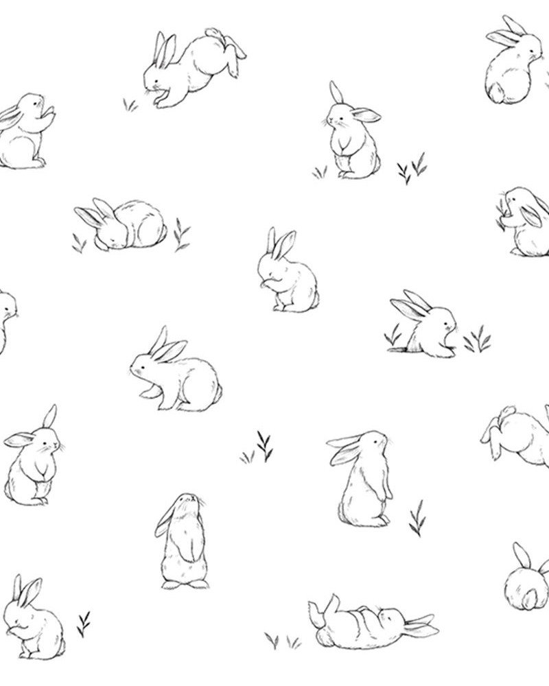 LILIPINSO bunnies sketches wallpaper 