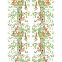 AILANTO DESIGN carta da parati woodland squirrels (green)