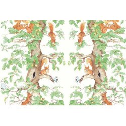 AILANTO DESIGN carta da parati woodland squirrels (green)