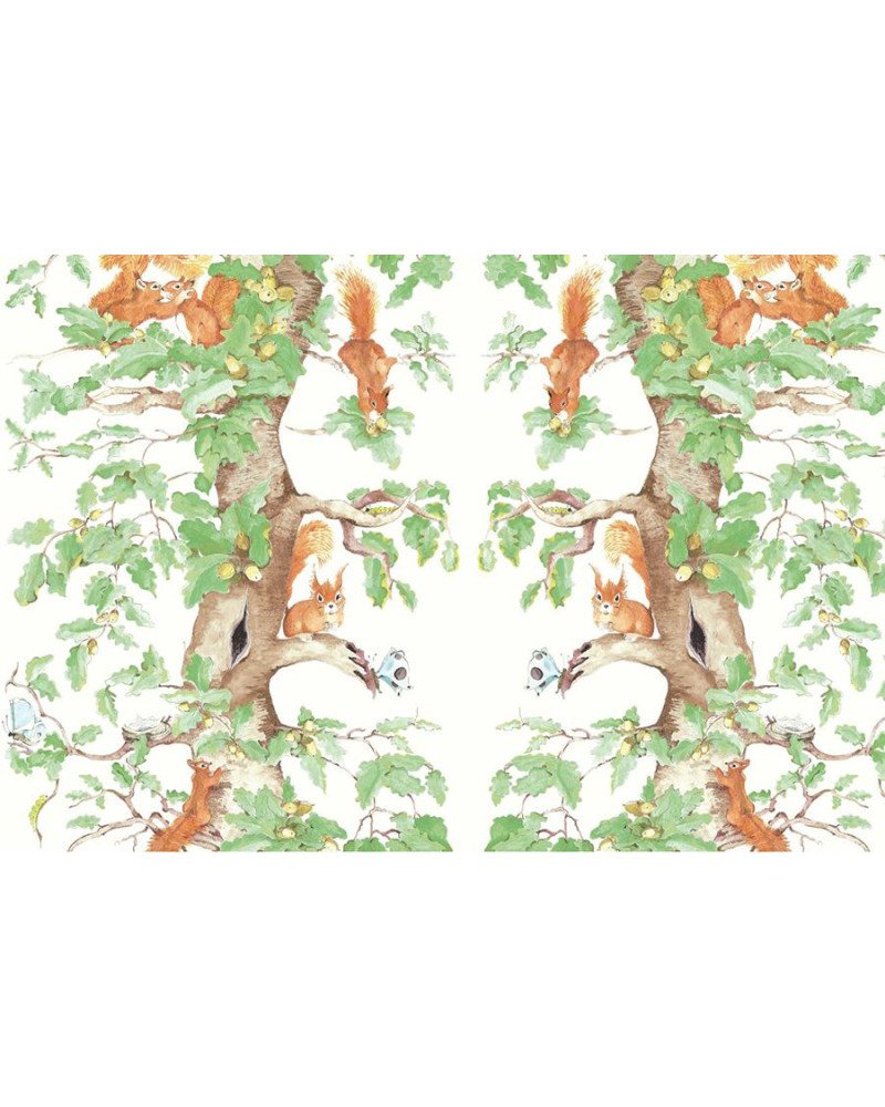 AILANTO DESIGN carta da parati woodland squirrels (green)