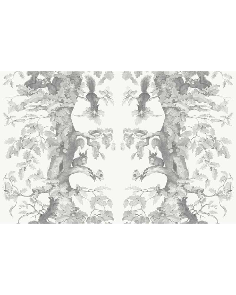 AILANTO DESIGN carta da parati woodland squirrels (grey)